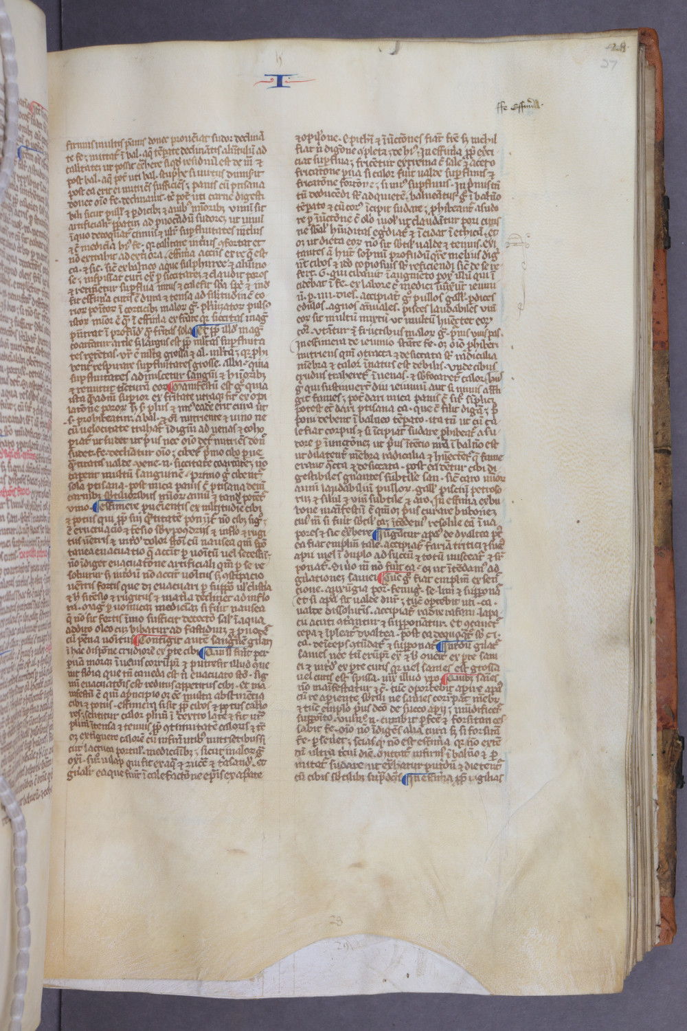 Folio 27 recto